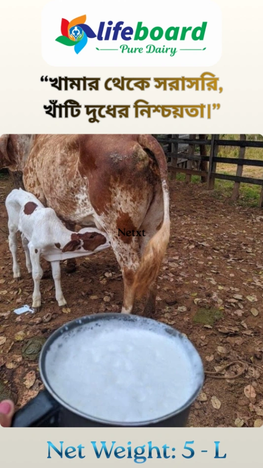 Lifeboard Pure Dairy Milk