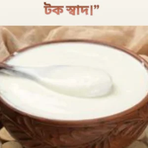 Lifeboard Pure Dairy Sour Yogurt